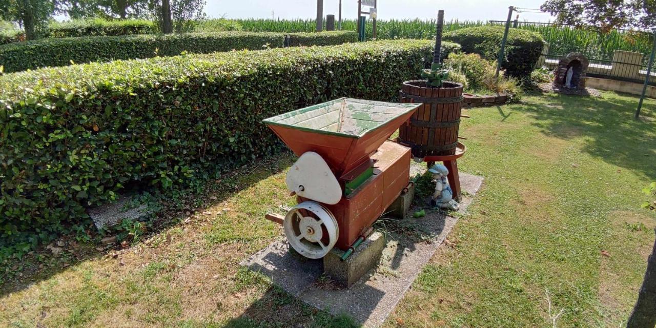 Tolle Agriturismo La Fraterna מראה חיצוני תמונה